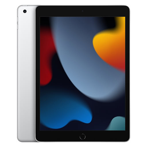 iPad 9 256 GB Wifi Space Gray (2021)