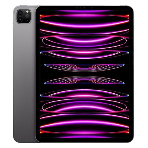 iPad Pro 11-in 512 GB Wifi + Cellular Space Gray (2022)