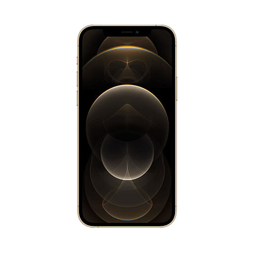iPhone 12 Pro Max 256 GB Gold